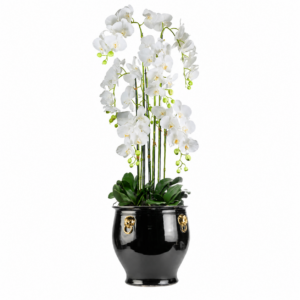 Imperial White Orchid Black Ceramic Lion Planter