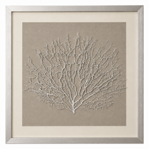 Hampton Silver Coral Frame Shadow Box 60cm