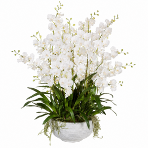 Imperial Orchid Garden Centrepiece in White Planter
