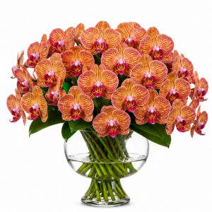Atelier Tiger Orchid Centrepiece in Glass Urn