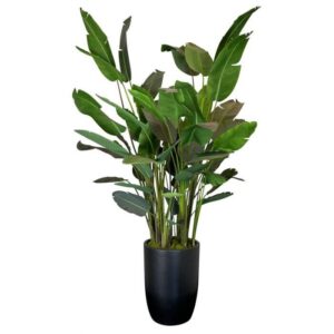 Traveller Palm Tree with Planter 270cm