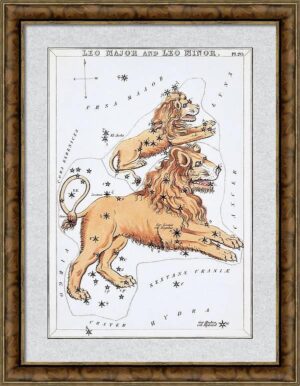 Antique Constellation Fine Art Print - Avant Garde Furniture - Designer Furniture Store & Luxury Home Decor
