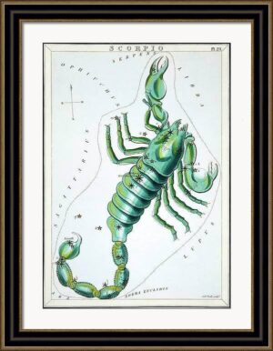 Antique Constellation Fine Art Print - Avant Garde Furniture - Designer Furniture Store & Luxury Home Decor