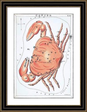 Antique Constellation Fine Art Print - Avant Garde Furniture - Designer Furniture Store & Luxury Home Decor