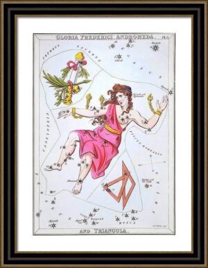 Antique Constellation Fine Art Print - Avant Garde Furniture - Designer Furniture Store & Luxury Home Decor