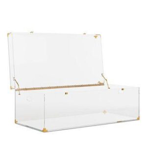 Balmain Brass Lucite Trunk Coffee Table - Avant Garde Furniture - Designer Furniture Store & Luxury Home Decor