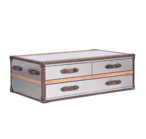 Brenton Brushed Silver Oak Coffee Table Trunk - Avant Garde Furniture - Designer Furniture Store & Luxury Home Decor