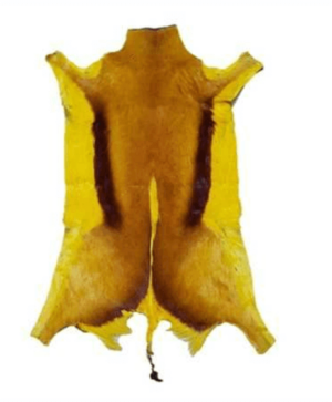Genuine African Springbok Yellow Hide - Avant Garde Furniture - Designer Furniture Store & Luxury Home Decor
