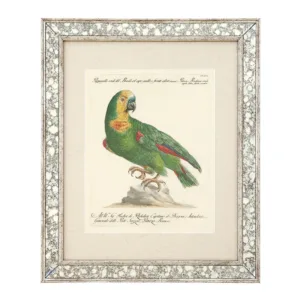 Dunbar Antique Mirror Fine Art Print 59cm - Avant Garde Furniture - Designer Furniture Store & Luxury Home Decor