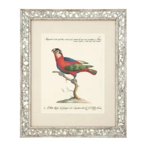 Dunbar Antique Mirror Fine Art Print 59cm - Avant Garde Furniture - Designer Furniture Store & Luxury Home Decor