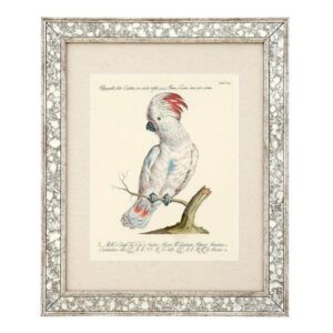 Dunbar Antique Mirror Fine Art Print 59cm - Avant Garde Furniture - Designer Furniture Store & Luxury Home Decor