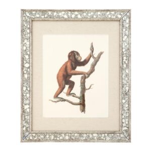 Dunbar Antique Mirror Fine Art Print 59cm - Avant Garde Furniture - Designer Furniture Store & Luxury Home Decor