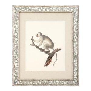 Dunbar Antique Mirror Fine Art Print 59cm - Avant Garde Furniture - Designer Furniture Store & Luxury Home Decor