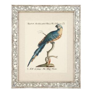 Dunbar Antique Mirror Fine Art Print 59cm - Avant Garde Furniture - Designer Furniture Store & Luxury Home Decor