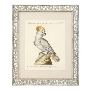 Dunbar Antique Mirror Fine Art Print 59cm - Avant Garde Furniture - Designer Furniture Store & Luxury Home Decor
