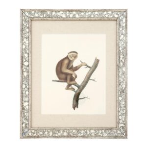 Dunbar Antique Mirror Fine Art Print 59cm - Avant Garde Furniture - Designer Furniture Store & Luxury Home Decor