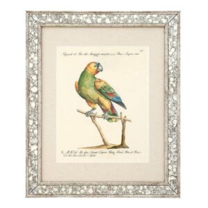 Dunbar Antique Mirror Fine Art Print 59cm - Avant Garde Furniture - Designer Furniture Store & Luxury Home Decor