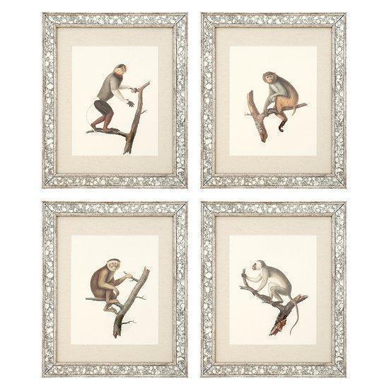 Dunbar Antique Mirror Fine Art Print 59cm - Avant Garde Furniture - Designer Furniture Store & Luxury Home Decor