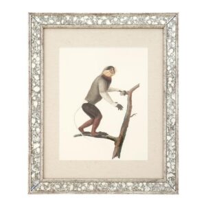 Dunbar Antique Mirror Fine Art Print 59cm - Avant Garde Furniture - Designer Furniture Store & Luxury Home Decor