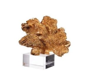 Golden Coral Lucite Accent﻿ 23cm - Avant Garde Furniture - Designer Furniture Store & Luxury Home Decor