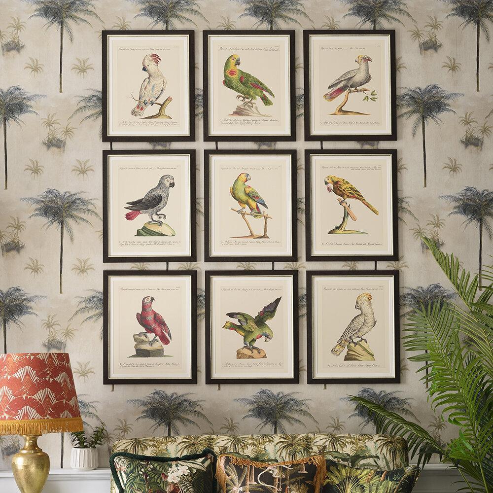 Parrots of South America Fine Art Print 50cm - Avant Garde Furniture - Designer Furniture Store & Luxury Home Decor