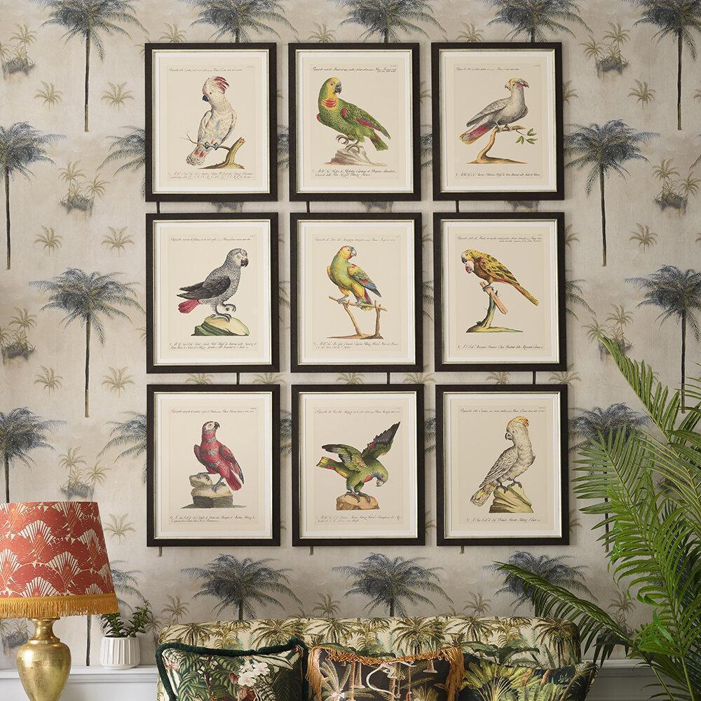 Parrots of South America Fine Art Print 50cm - Avant Garde Furniture - Designer Furniture Store & Luxury Home Decor