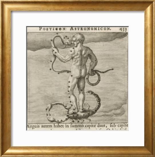 Vintage Zodiac IV Fine Art Antique Gold Frame 61cm - Avant Garde Furniture - Designer Furniture Store & Luxury Home Decor