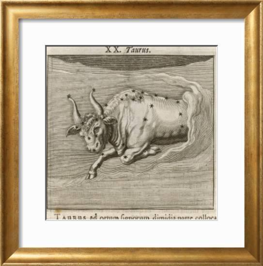 Vintage Zodiac IX Fine Art Antique Gold Frame 61cm - Avant Garde Furniture - Designer Furniture Store & Luxury Home Decor