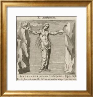 Vintage Zodiac V Fine Art Antique Gold Frame 61cm - Avant Garde Furniture - Designer Furniture Store & Luxury Home Decor
