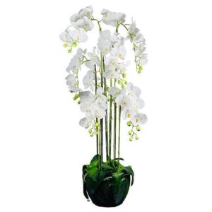 White Phalaenopsis Orchid Arrangement with Foliage 150cm - Avant Garde Furniture - Designer Furniture Store & Luxury Home Decor