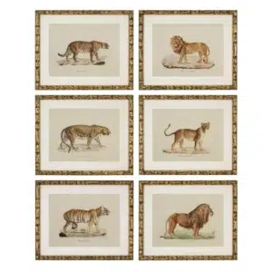 Safari Vintage Print Gold Bamboo Set