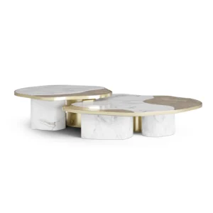 Ophelia Carrara Marble Brass Coffee Table Set