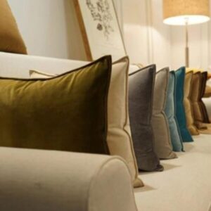 Designer Cushions
