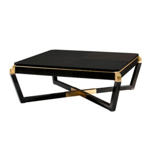Giulietta Ebony Brass Coffee Table