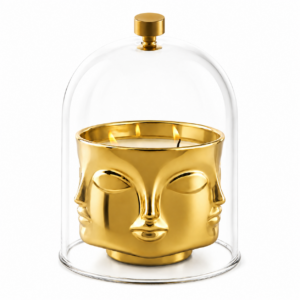 Muse Brass Glass Cloche