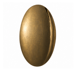Reflection Convex Optical Antique Brass Wall Décor
